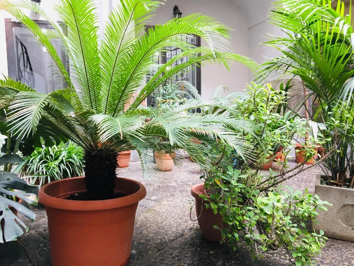 B&B Fiumara Neapel